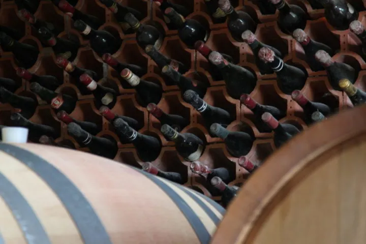 bottles of wine and barrels