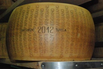 round parmigiano regianno cheese