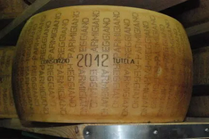 round parmigiano regianno cheese