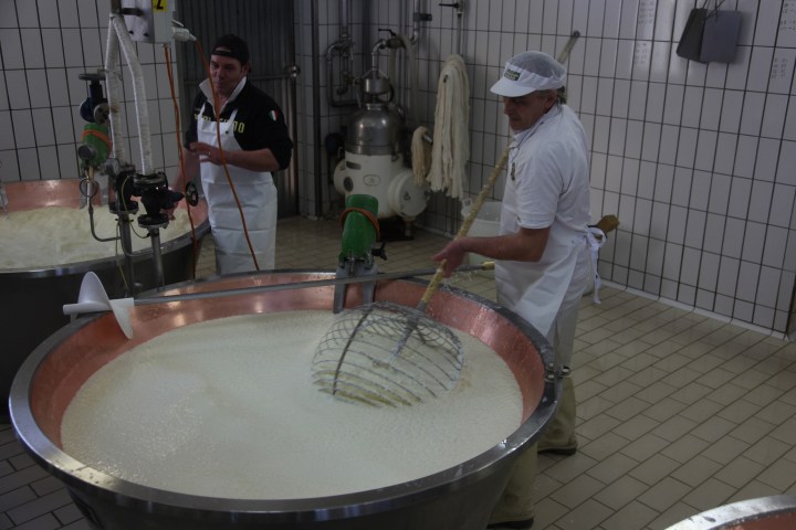 a group of people playing instruments and performing on a counter